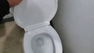 2010s Kohler Toilet at a Grocery Store