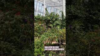 영흥수목원임시개장방문_단지내행복부동산 031 213 3379 🌿