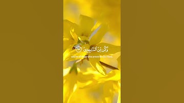 ولقد نعلم انك يضيق صدرك بما يقولون | ياسر الدوسري سورة الحجر |