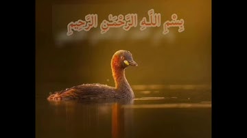سورة الأنعام الصفحة 139 مكررة بصوت الشيخ أيمن سويد