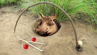 Amazing Smart Boy Build Quick Trap For Catch Wild Pig From Underground Hole