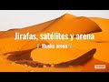 Jirafas, satélites y arena, mucha arena