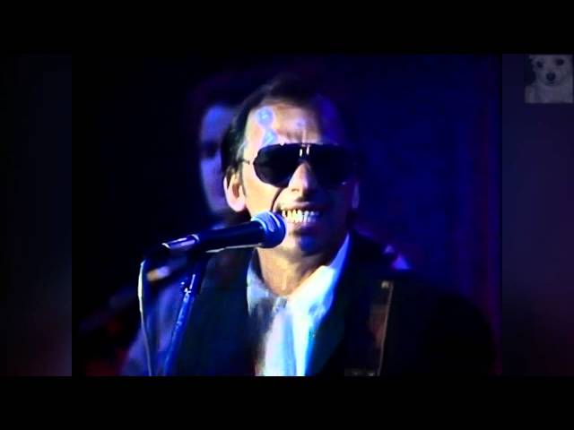 The Black Sorrows - Daughters Of Glory AU