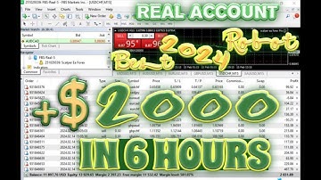 Best Forex Robot 2024 - Live Robot trading scalping +$2000  IN 6 HOURS