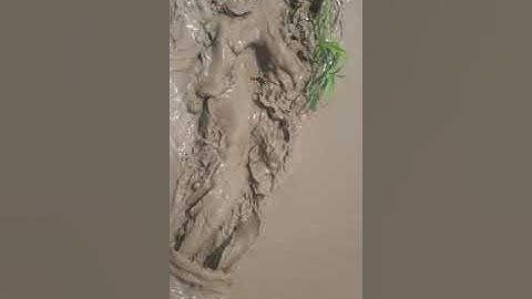 Xáng thổi bùn.. nhận bơm đất bơm bùn nạo vét kênh rạch LH:0988893070