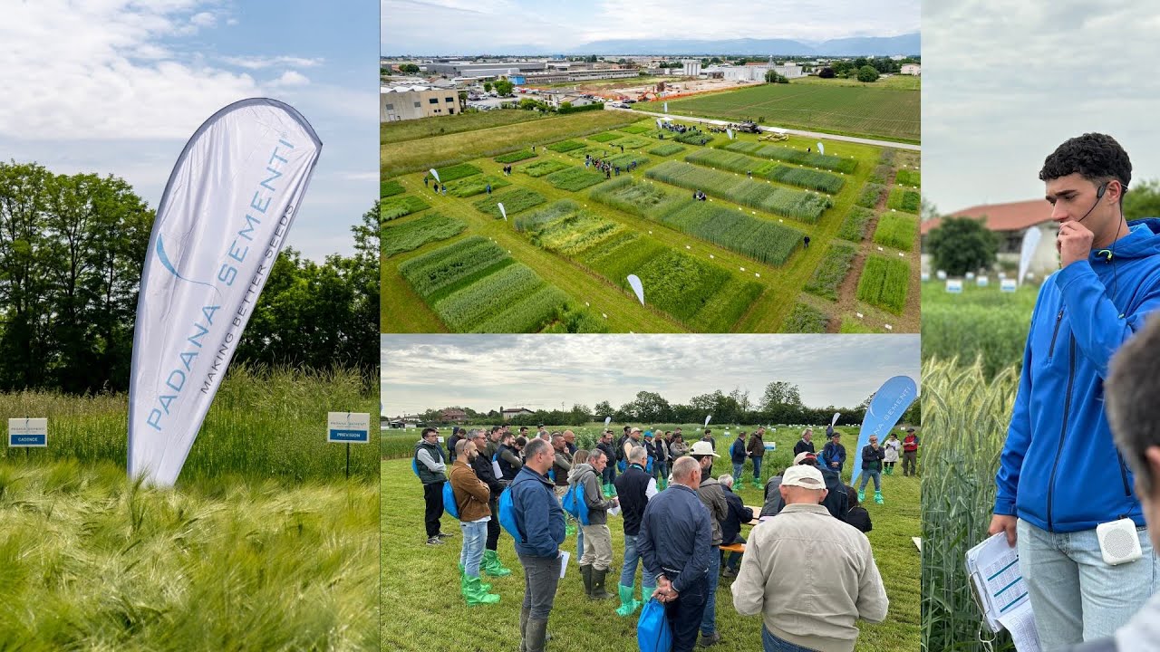 Field Day Foraggere cereali e cover crop, 13 Maggio 2025 - Padana Sementi