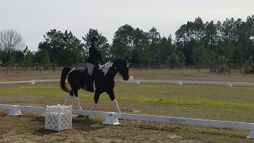 Intro Test C 1/26/2019