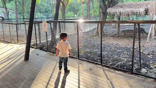 Main ke mini zoo di sentul, murah banget