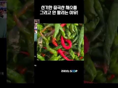 중국산 채소의 실체...왜 안 팔릴까?