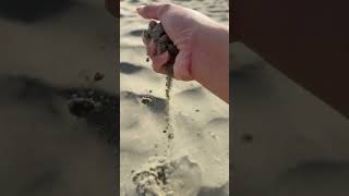 Download Lagu Pegasus! #newzealand MP3