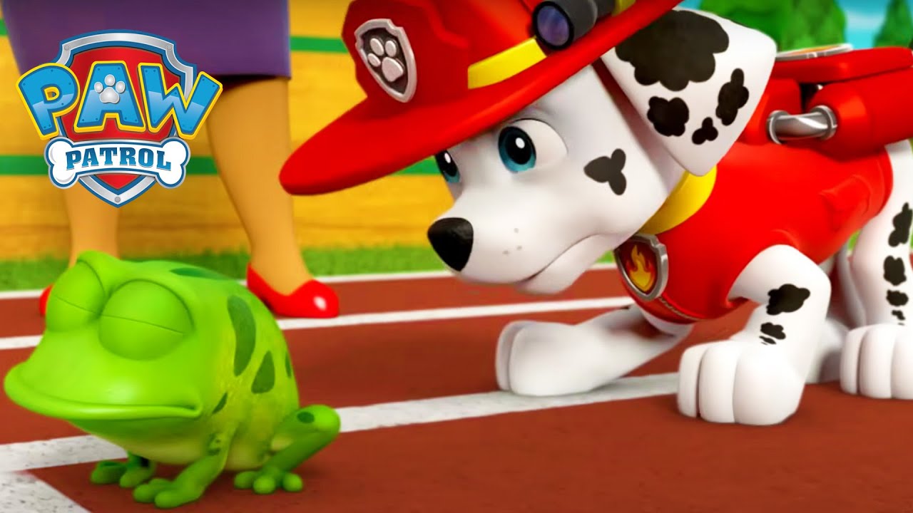 MAIS resgates de animais! - Patrulha Canina PAW Patrol - Desenhos animados para crianças