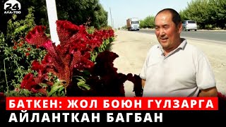 Баткен: Жол боюн гүлзарга айланткан багбан