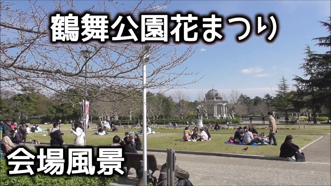 鶴舞公園花まつり19 名古屋の桜 お花見会場の様子 Youtube