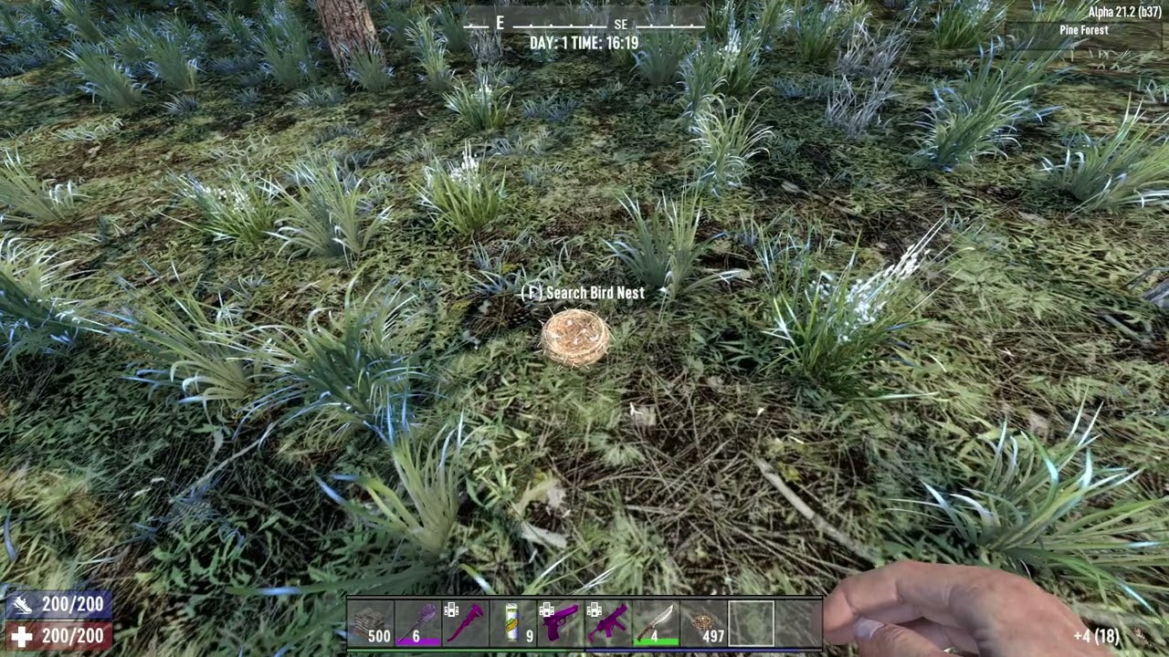 Easiest Way to Get Feathers in 7 Days to Die