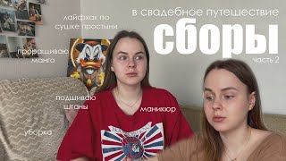 картинка: Сборы в свадебное путешествие. Часть 2: ращу манго, уборка, маникюр и брови
