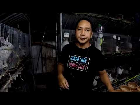 Video: Paano Kanselahin Ang Pagpapakain Sa Gabi