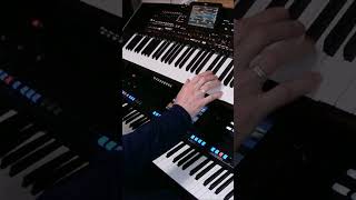 Celine Dion - Titanic Vibe I Synth I Yamaha & Korg