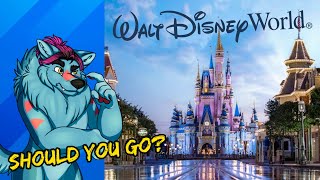 Should You Go To Disney World in 2022?