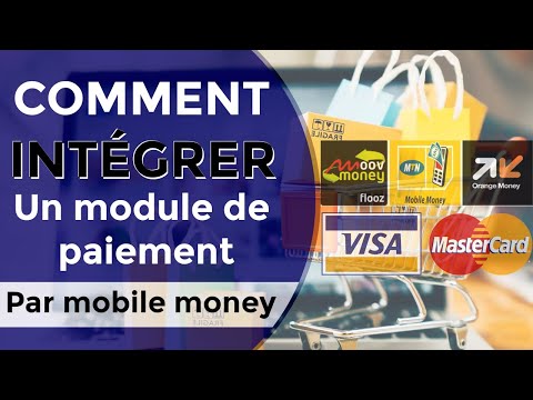 Comment INTEGRER un module de paiement par Mobile Money et carte VISA sur WordPress en Afrique ?