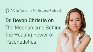 Dr. Devon Christie on the Mechanisms Behind the Healing Power of Psychedelics