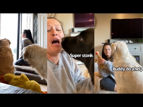 Annoying My Dogs