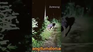 Aswang horror vlog click full video my YouTube channel