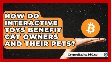 How Do Interactive Toys Benefit Cat Owners and Their Pets? | Happy Cat Handbook