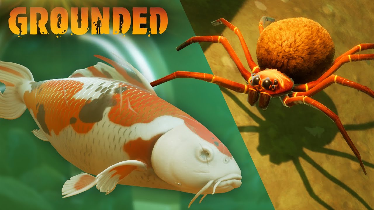 Grounded's KOI POND UPDATE is HERE! Grounded Episode 24 - YouTube