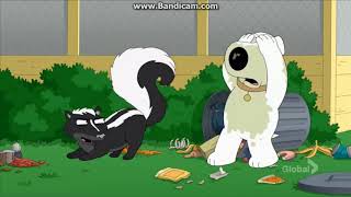 Brian Griffin Have A Big Trouble With A Skunk - Family Guy