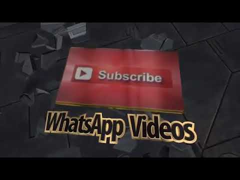 فديوهات واتس جنان الحب ده احلي جنان هو في كدا