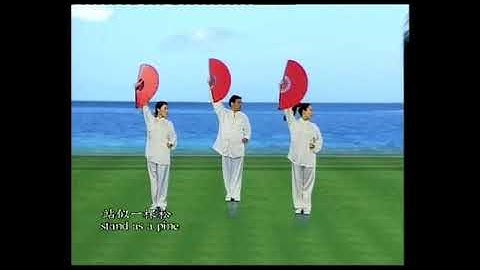 Kungfu fan with 52 moves