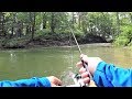 TROUT Fishing with Spinners in BEAUTIFUL Stream