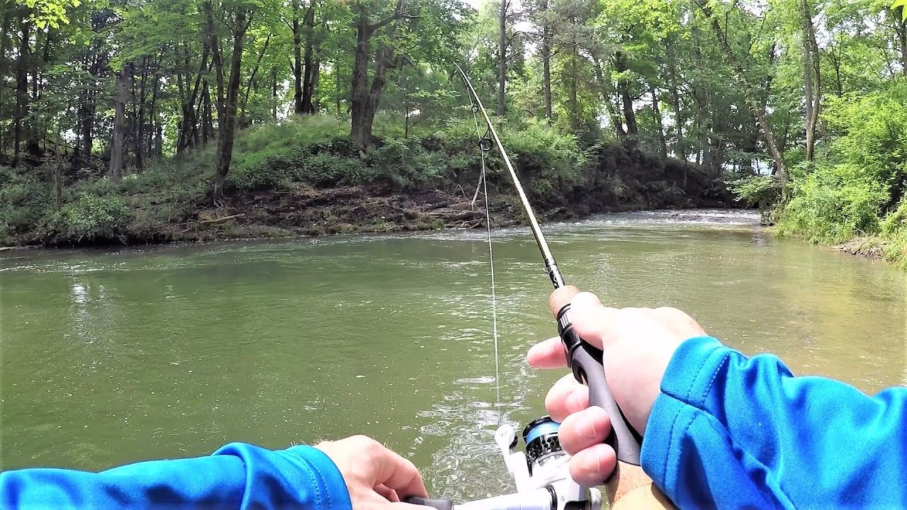 TROUT Fishing with Spinners in BEAUTIFUL Stream YouTube