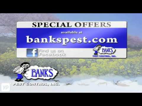 banks-pest-control-|-termite-control-|-bakersfield,-ca
