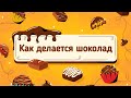 Как делается шоколад? Мультик - игра о том как делать шоколад