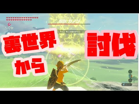 ゼルダの伝説 ラスボスを裏世界から狙撃して倒す 色んなハプニング有り ブレスオブザワイルド Naotin Youtube