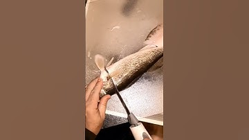 Boneless Walleye Fillets in 45 seconds