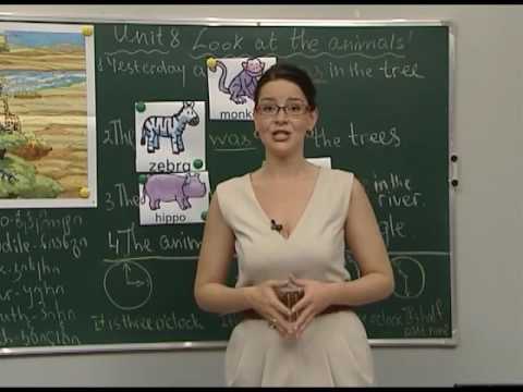 Unit 8 - Look at the Animals (part 1)
