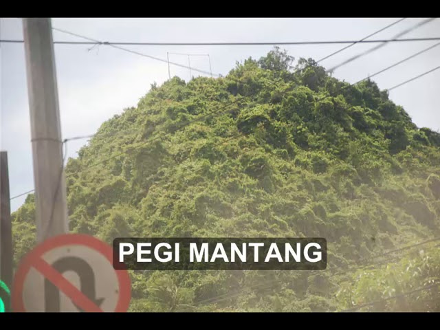 With Text Sedulang Setudung Lagu Daerah Kabupaten Banyuasin Youtube