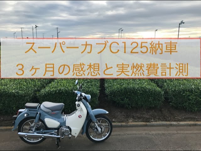 スーパーカブc125！Uber配達、通勤に最高！！ 背もたれ ワンオフ-