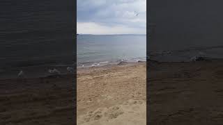 Sahil Kum Deniz Güneş Martı Resimi