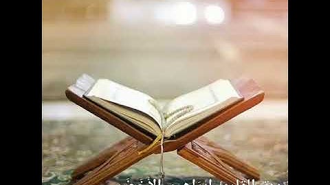 سورة الأحقاف بصوت القارئ الشيخ إبراهيم الأخضر.. ✨❤️