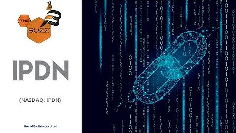 “The Buzz” Show: Professional Diversity Network (NASDAQ: IPDN) Partnership with Phala Network