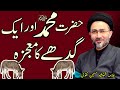 Hazrat muhammad aur gadhay ka mojza  allama shahenshah hussain naqvi  al zaki tv