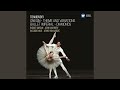 Miniature de la vidéo de la chanson Symphony No. 3 In D, Op. 29 “Polish”: Iv. Scherzo (Allegro Vivo)