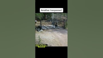 It’s a ongoing battle of trespassers #drivewaygates #privateproperty #trespassing #securitycamera ￼￼