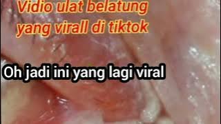 VIDEO VIRAL BElATUNG DALAM VAGINA 🤮 VIRAL DI TIKTOK