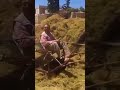 ياسواق الحيليني عادل خضور ياسواق الحيليني عادل خضور