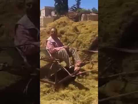 ياسواق الحيليني عادل خضور