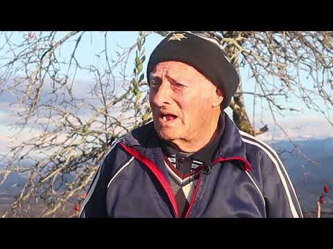 თოქშოუ სენტენცია -  ლუთბია ხინიკაძე